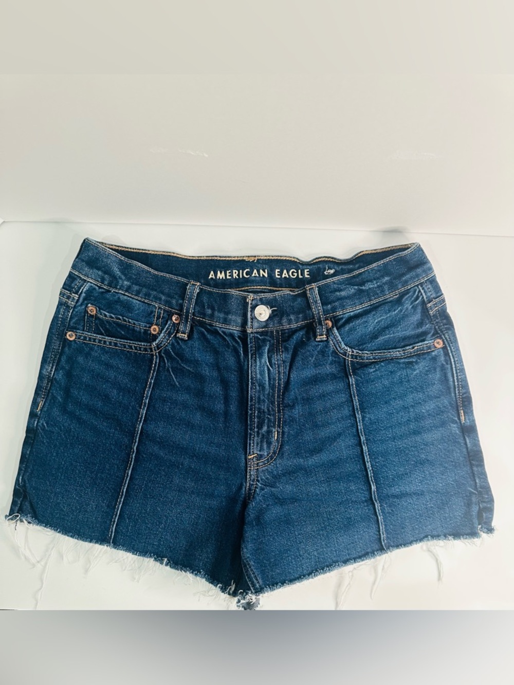 American Eagle Outfitters Dark Blue Denim Cutoff Shorts size 6